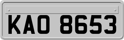 KAO8653