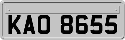 KAO8655