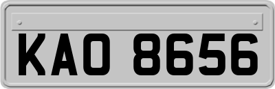 KAO8656