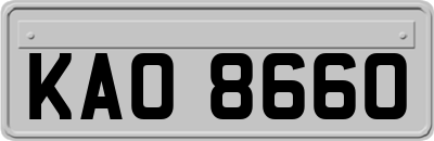 KAO8660