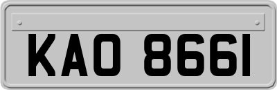 KAO8661