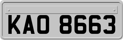 KAO8663