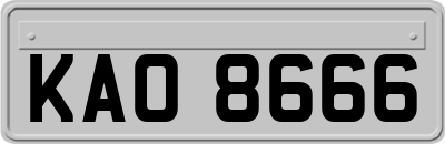 KAO8666