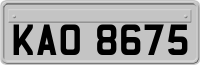 KAO8675