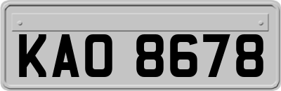 KAO8678