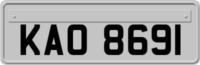 KAO8691