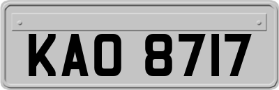 KAO8717