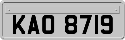 KAO8719