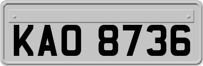 KAO8736