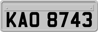 KAO8743