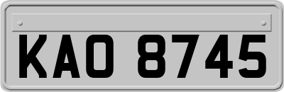 KAO8745