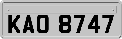 KAO8747
