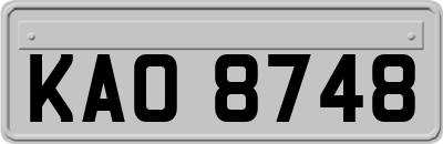 KAO8748