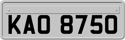 KAO8750