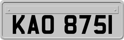 KAO8751