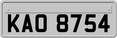 KAO8754