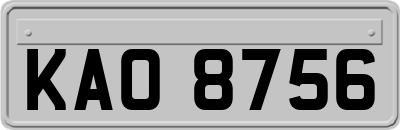KAO8756