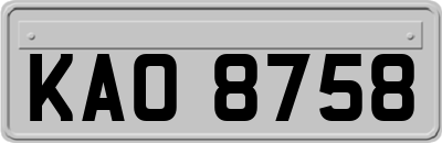 KAO8758