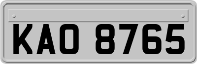KAO8765