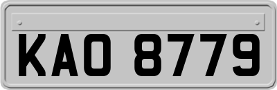 KAO8779