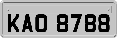 KAO8788