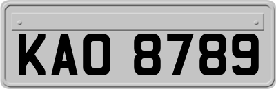 KAO8789