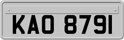 KAO8791