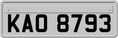 KAO8793