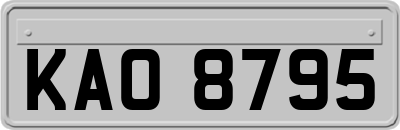 KAO8795
