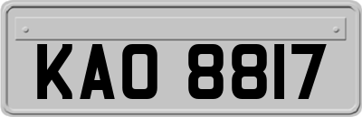 KAO8817