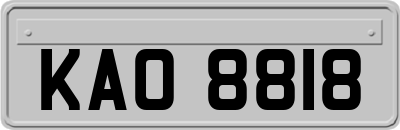 KAO8818