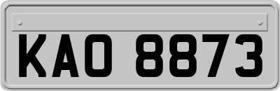KAO8873