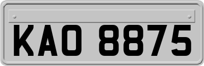 KAO8875
