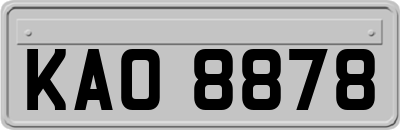KAO8878
