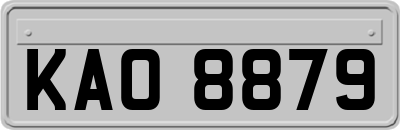 KAO8879