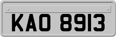 KAO8913