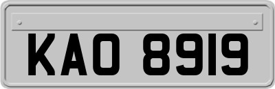 KAO8919