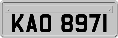 KAO8971