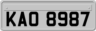 KAO8987