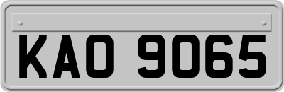 KAO9065