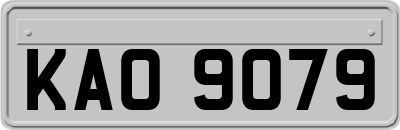 KAO9079