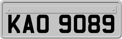 KAO9089