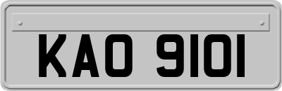 KAO9101