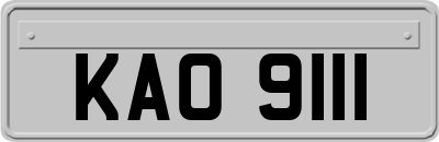 KAO9111