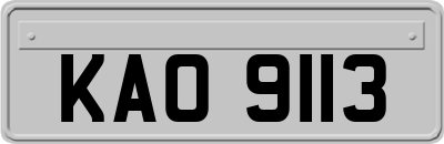 KAO9113
