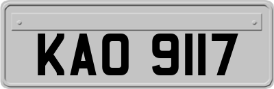 KAO9117