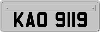 KAO9119