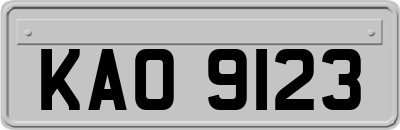 KAO9123