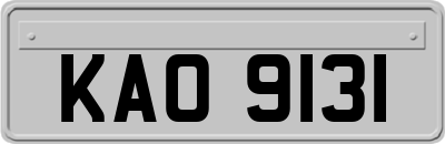 KAO9131