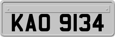 KAO9134